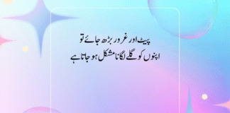 Best Urdu Quotes for 2025 – Life, Emotions & Wisdom