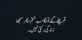 Best 40 Sad Urdu Shayari 2025 | Deep & Touching Emotions Sad Urdu Shayari 2025 – Deep and Emotional Poetry in Urdu with English Meaning