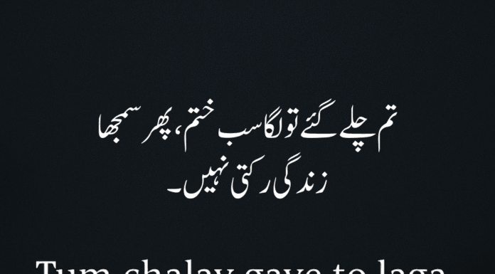 Best 40 Sad Urdu Shayari 2025 | Deep & Touching Emotions Sad Urdu Shayari 2025 – Deep and Emotional Poetry in Urdu with English Meaning