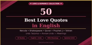 50 Best Love Quotes in English with Urdu Translation love quotes in English with Urdu translation