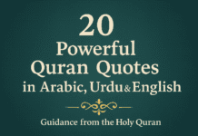 20 Powerful Quran Quotes about Life, Faith & Guidance (With Urdu & English Translation)