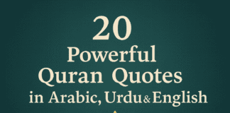 20 Powerful Quran Quotes about Life, Faith & Guidance (With Urdu & English Translation)