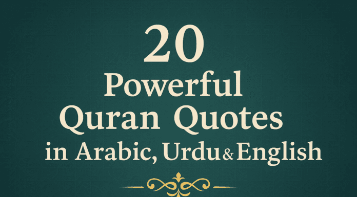 20 Powerful Quran Quotes about Life, Faith & Guidance (With Urdu & English Translation)