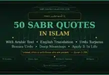 50 Sabr Quotes in Islam — Quran & Hadees on Patience with Urdu Translation Sabr quotes in Islam with Arabic Urdu and English translation