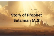 Story of Prophet Sulaiman (A.S) – The Wise King Blessed with Divine Knowledge Story of Prophet Sulaiman (A.S) – Islamic story from Qasas al-Anbiya