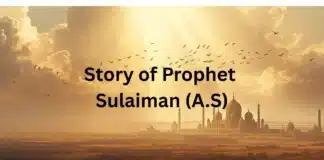 Story of Prophet Sulaiman (A.S) – The Wise King Blessed with Divine Knowledge Story of Prophet Sulaiman (A.S) – Islamic story from Qasas al-Anbiya