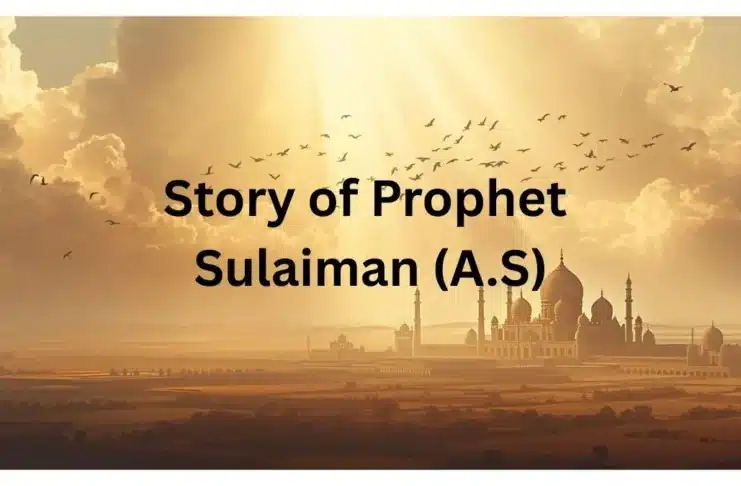 Story of Prophet Sulaiman (A.S) – The Wise King Blessed with Divine Knowledge Story of Prophet Sulaiman (A.S) – Islamic story from Qasas al-Anbiya
