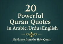 20 Powerful Quran Quotes about Life, Faith & Guidance (With Urdu & English Translation) Quran quotes in Arabic Urdu and English with meanings