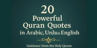 20 Powerful Quran Quotes about Life, Faith & Guidance (With Urdu & English Translation) Quran quotes in Arabic Urdu and English with meanings
