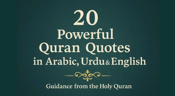 20 Powerful Quran Quotes about Life, Faith & Guidance (With Urdu & English Translation) Quran quotes in Arabic Urdu and English with meanings