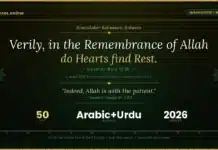 50 Beautiful Quran Quotes About Life in English with Urdu Translation Quran quotes about life in English with Urdu translation