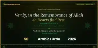 50 Beautiful Quran Quotes About Life in English with Urdu Translation Quran quotes about life in English with Urdu translation