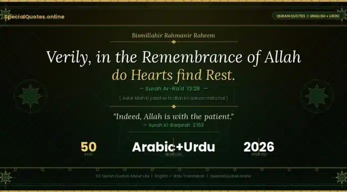 50 Beautiful Quran Quotes About Life in English with Urdu Translation Quran quotes about life in English with Urdu translation