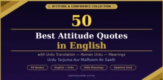 50 Best Attitude Quotes in English with Urdu Translation attitude quotes in English with Urdu translation