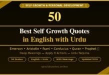 50 Best Self Growth Quotes in English with Urdu Translation self growth quotes in English with Urdu translation